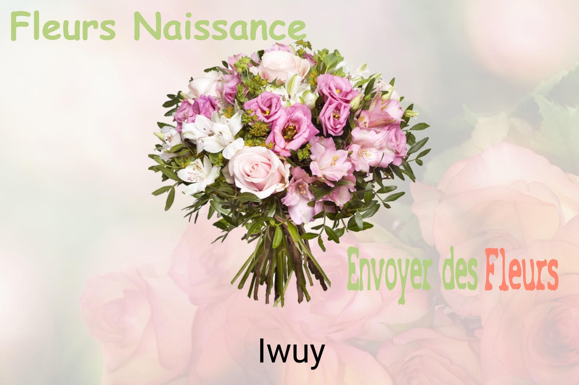 Bouquet de fleurs de naissance livré à Iwuy
