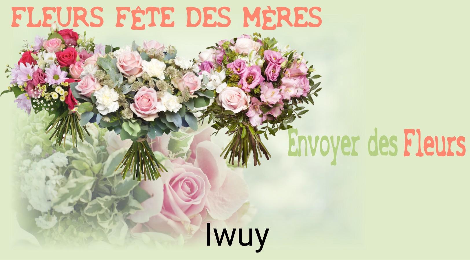 Bouquet de Fête des Mères livré à Iwuy